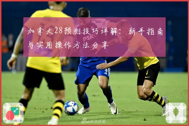 加拿大28预测技巧详解：新手指南与实用操作方法分享