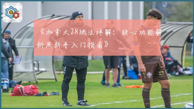 《加拿大28玩法详解：核心功能解析及新手入门指南》