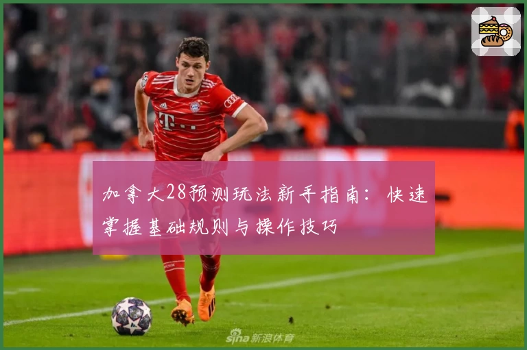 加拿大28预测玩法新手指南：快速掌握基础规则与操作技巧