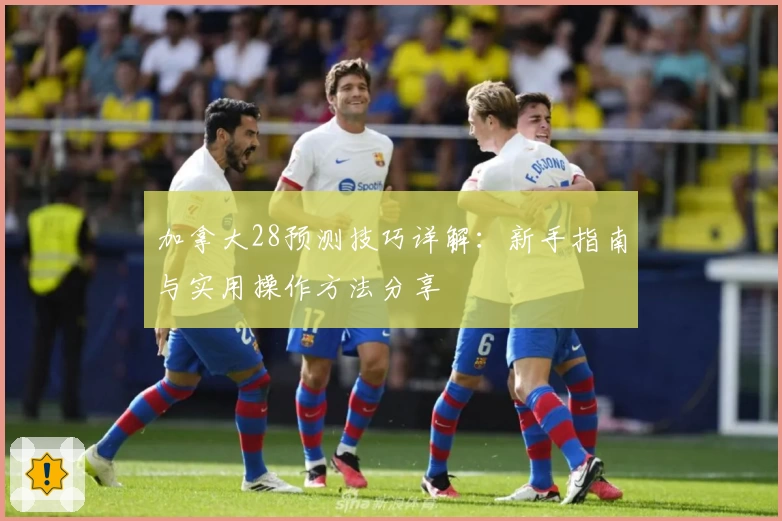 加拿大28预测技巧详解：新手指南与实用操作方法分享