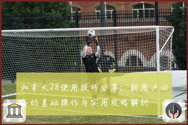 加拿大28使用技巧分享：新用户必备的基础操作与实用攻略解析