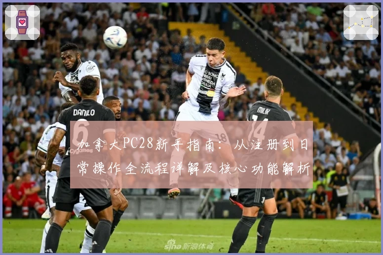 加拿大PC28新手指南：从注册到日常操作全流程详解及核心功能解析