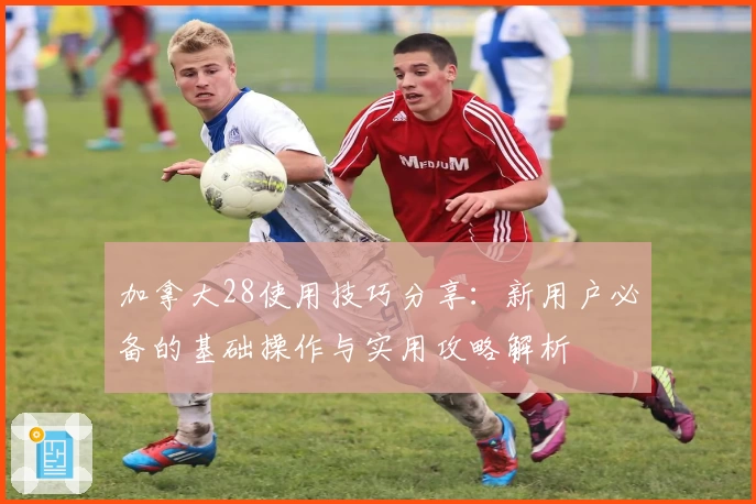 加拿大28使用技巧分享：新用户必备的基础操作与实用攻略解析